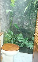 alfresco toilet?