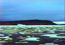 Shot from the movie - Arctic