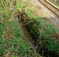 View of Plashford Lock