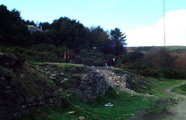 East Caradon Mine Rail Loading Bay