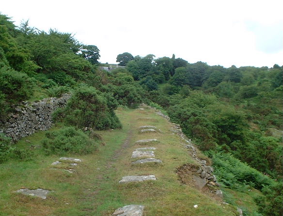 LCR trackbed running through West Caradon mine