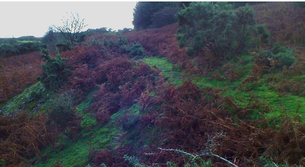 Tramway and flat rod embankment