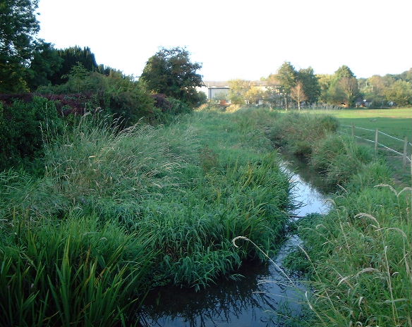 A view of Titchfield Canal