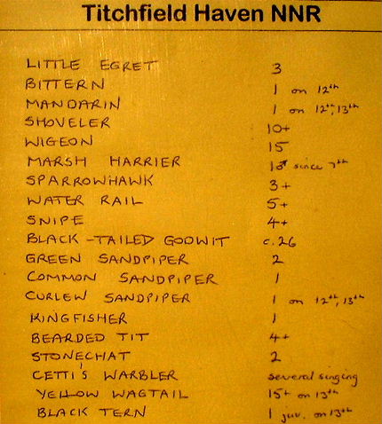 Copy of list of Birds spotted