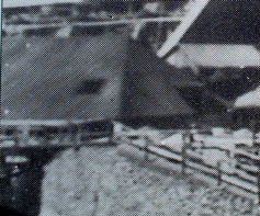 Click for full photograph