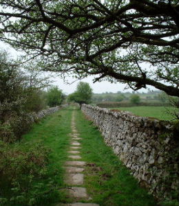 Grasmere Lane, a part of the Caradon Railway trackbed