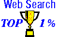 Web Search