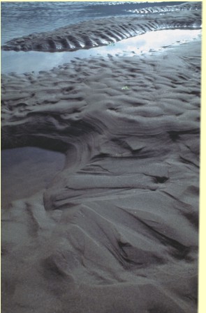 Beach.
