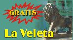 suscr�bete gratis