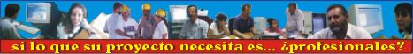 �S� lo que Ud. necesita son profesionales?