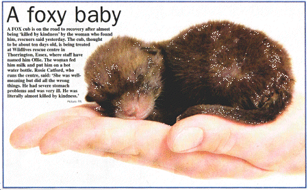 How could anyone leave this without parents? [Metro March23,05]