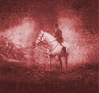 Tally Ho: A member of the Badsworth and Bramham Hunt Rides in Wetherby,West Yorkshire,before yesterday's Lords vote