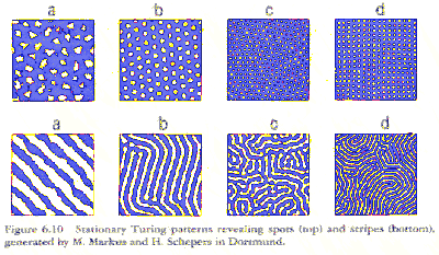 Life Patterns
