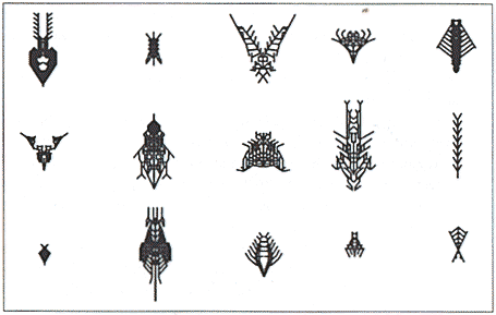 Dawkin's Biomorphs