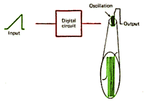 Oscillation