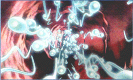 The race of life:Sperm are sensitive to a variety of factors