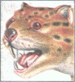 Terrifying:The Marsupial Lion