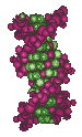 DNA:Left Handed Spiral