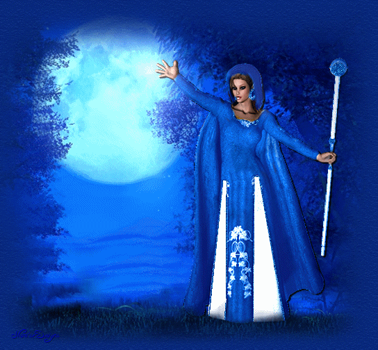 imagem12.gif