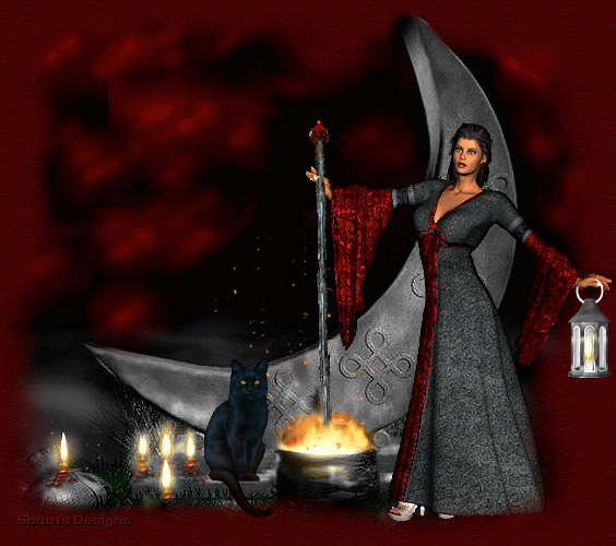 imagem19.gif