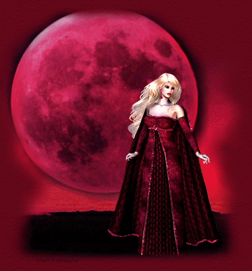 imagem20.gif