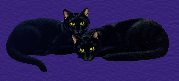 imagem22.gif