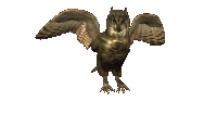 miniatura109.gif