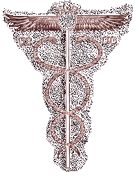 caduceu.gif (10229 bytes)