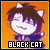 :: Black cat ::