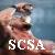 :: Stone Cold Steve Austin ::