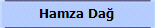 Hamza Da�
