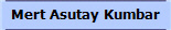 Mert Asutay Kumbar