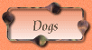dogs