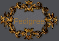 NV's pedigree