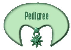Annie's pedigree