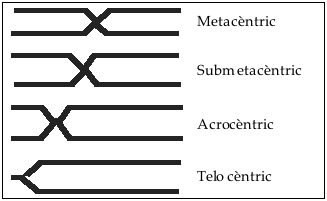 Cuadro de texto:  