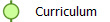 Curriculum
