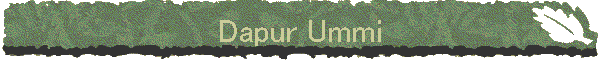 Dapur Ummi