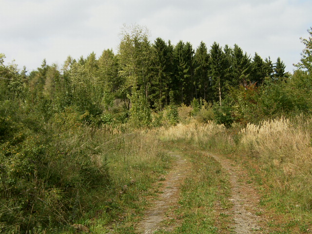 Foto:schmidtsrosi