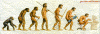 evolution.GIF (99270 bytes)