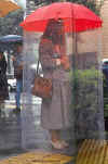 rain_proof.jpg (66559 bytes)