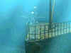 titanic.jpg (29620 bytes)