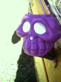 purple skull rear view mirrors