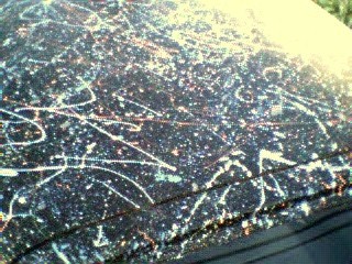 the roof!, the roof! the roof is on acid!