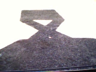 It was really amusing driving down the road and seeing the huge shadow from the X.