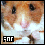 Hamsters!