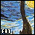 Starry Night!
