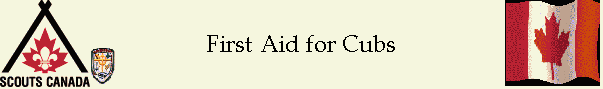 First Aid for Cubs