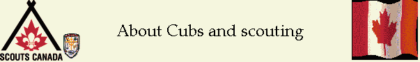 About Cubs and scouting