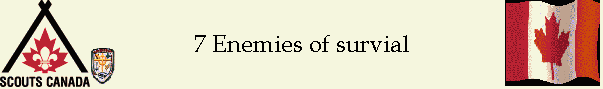 7 Enemies of survial